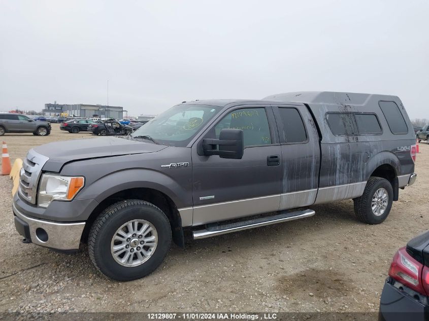 2011 Ford F-150 VIN: 1FTVX1ET7BKE05421 Lot: 12129807