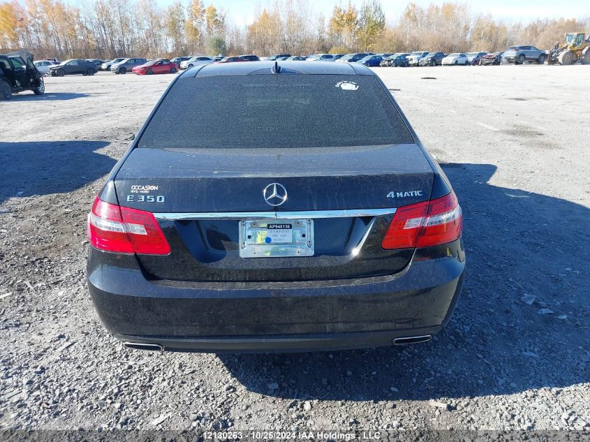 2010 Mercedes-Benz E-Class VIN: WDDHF8HB6AA238670 Lot: 12130263