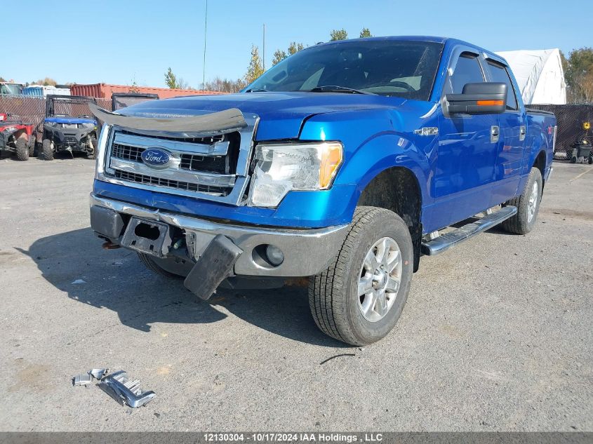 2013 Ford F-150 VIN: 1FTFW1EF0DFA76722 Lot: 12130304