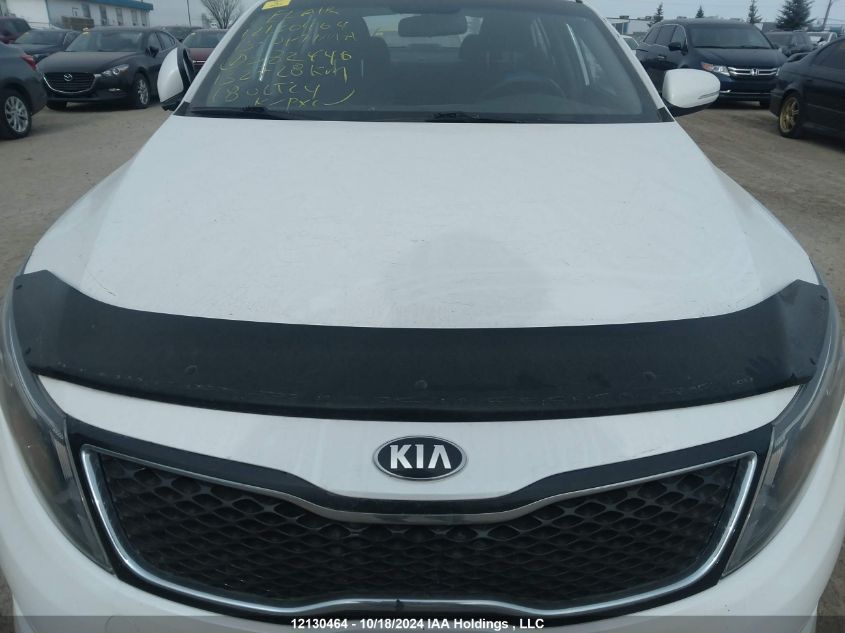 2015 Kia Optima VIN: KNAGM4A71F5582446 Lot: 12130464