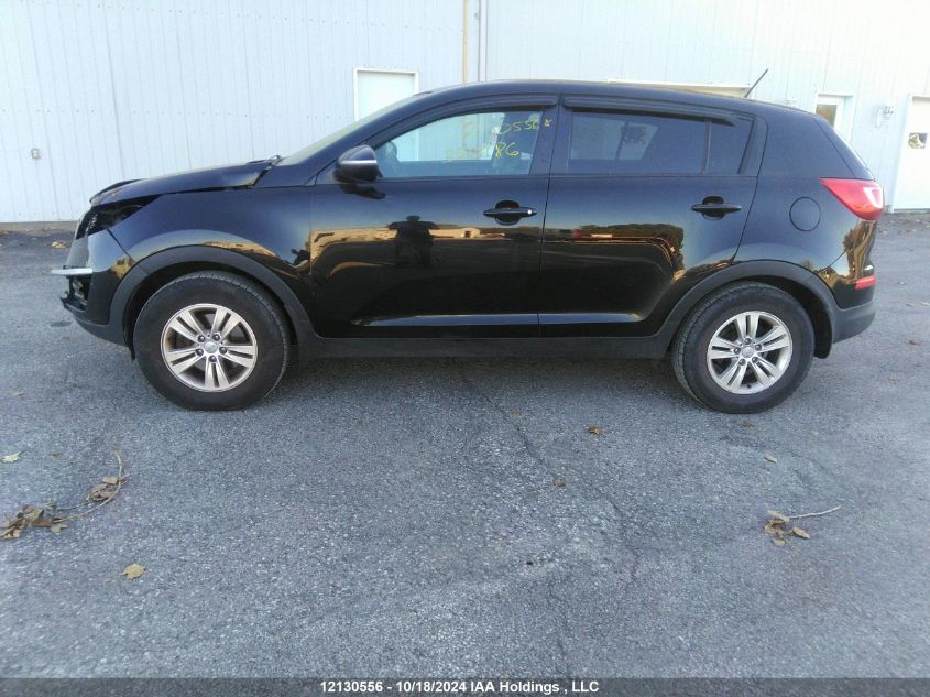 2012 Kia Sportage Lx VIN: KNDPB3A26C7326486 Lot: 12130556