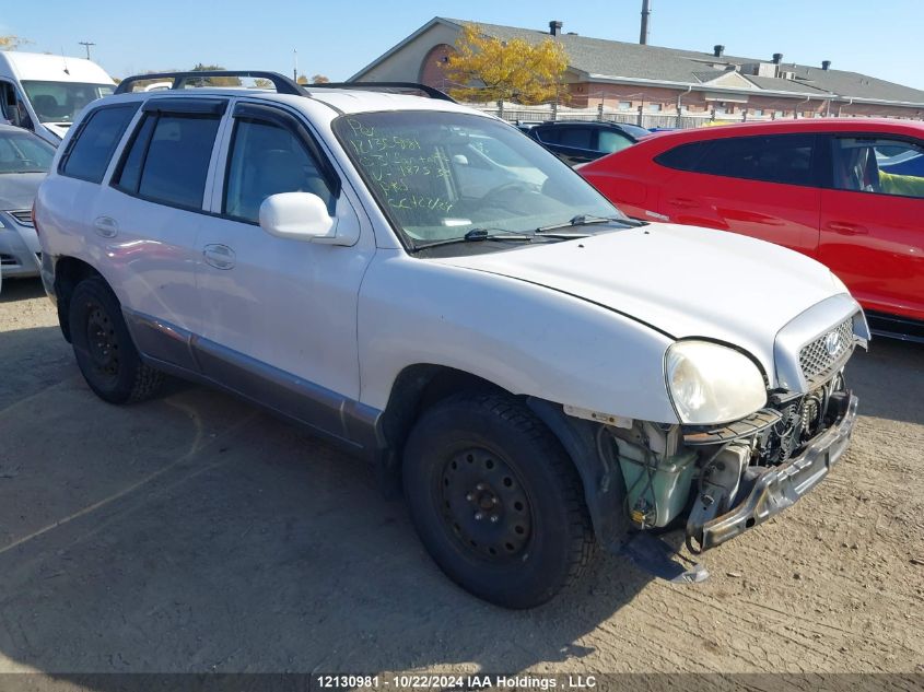 2003 Hyundai Santa Fe VIN: KM8SC73D03U487538 Lot: 12130981