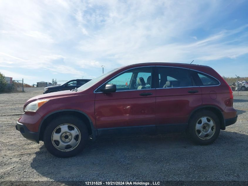 2007 Honda Cr-V VIN: 5J6RE48327L800509 Lot: 12131525