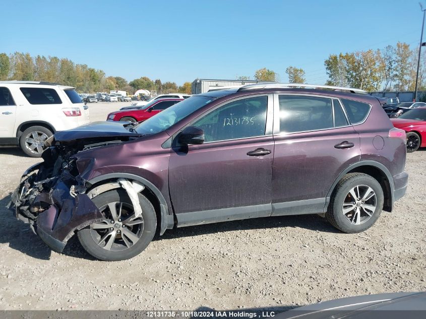 2016 Toyota Rav4 Xle VIN: 2T3RFREV3GW486856 Lot: 12131735