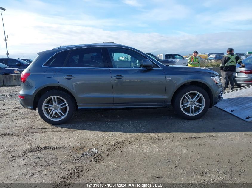 2013 Audi Q5 VIN: WA1MFCFP2DA034067 Lot: 12131810