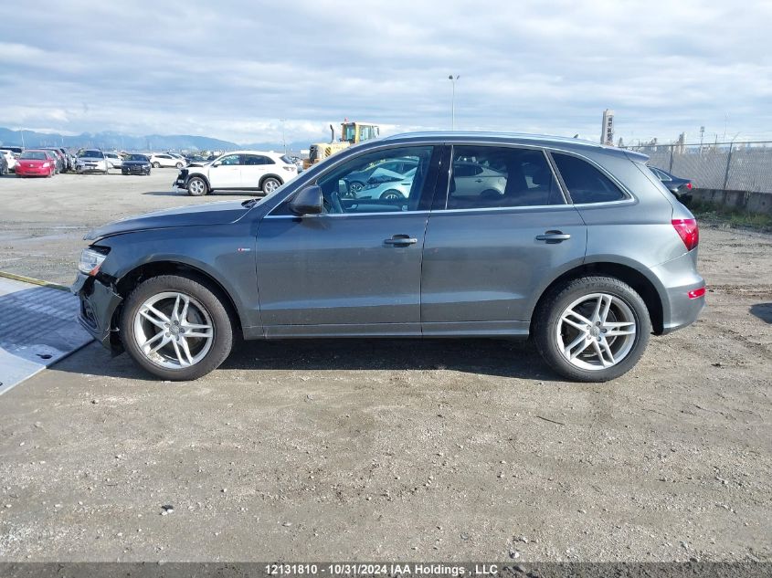 2013 Audi Q5 VIN: WA1MFCFP2DA034067 Lot: 12131810