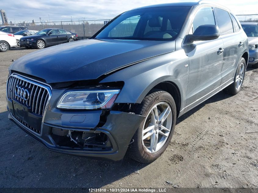 2013 Audi Q5 VIN: WA1MFCFP2DA034067 Lot: 12131810