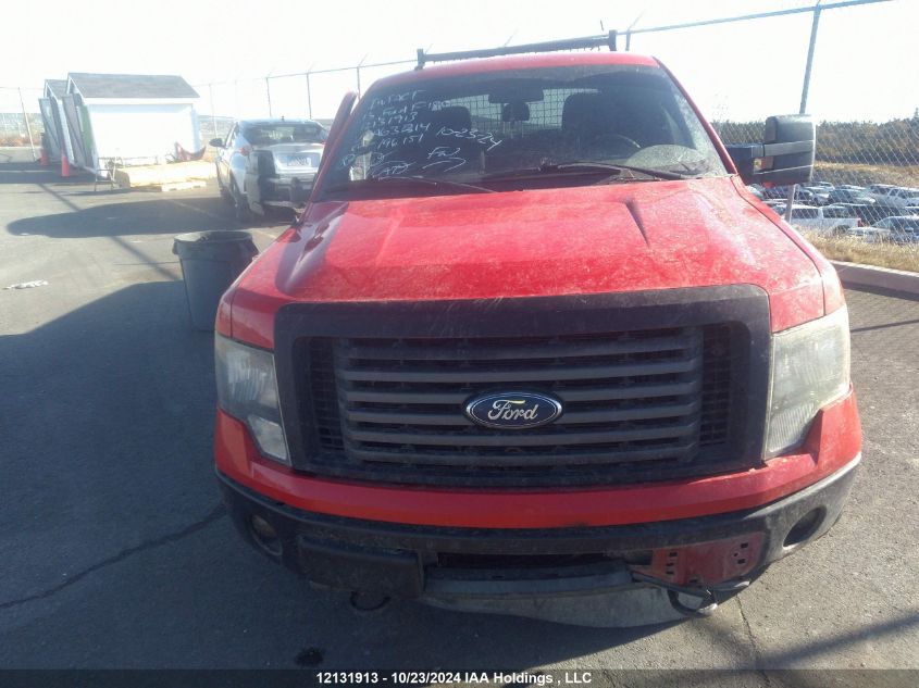 2013 Ford F-150 Xlt VIN: 1FTFW1EF4DFA63214 Lot: 12131913