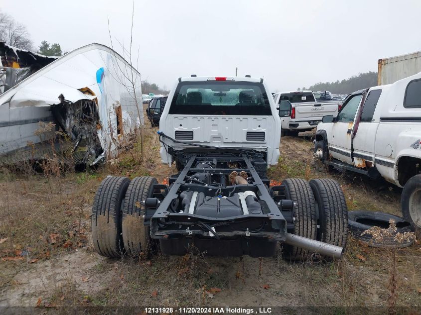 2024 Ford F350 Super Duty VIN: 1FDRF3GTXREC96759 Lot: 12131928