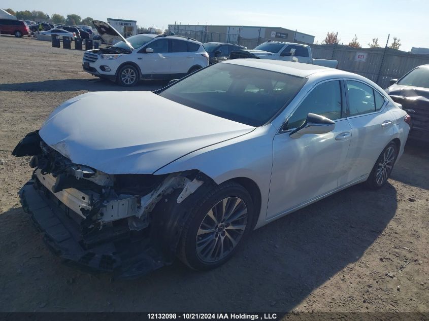 2020 Lexus Es 300H Signature VIN: 58AB21B1XLU005206 Lot: 12132098