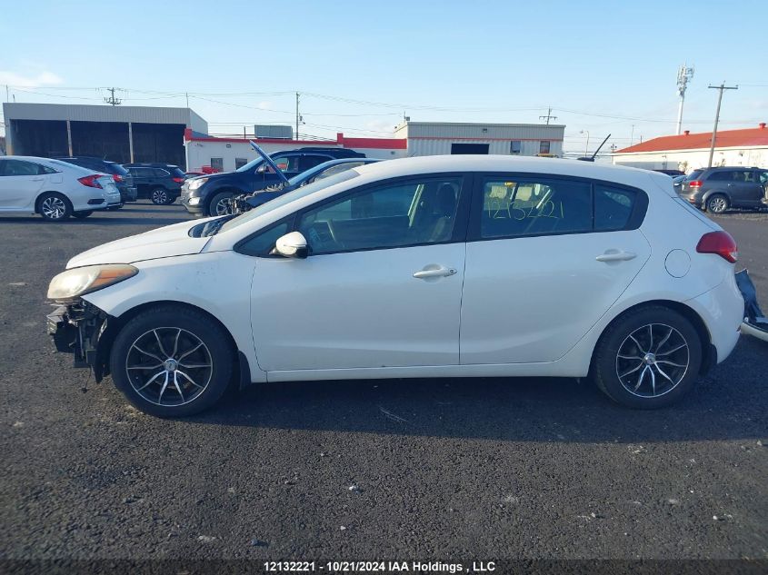2015 Kia Forte 5-Door VIN: KNAFK5A81F5294295 Lot: 12132221