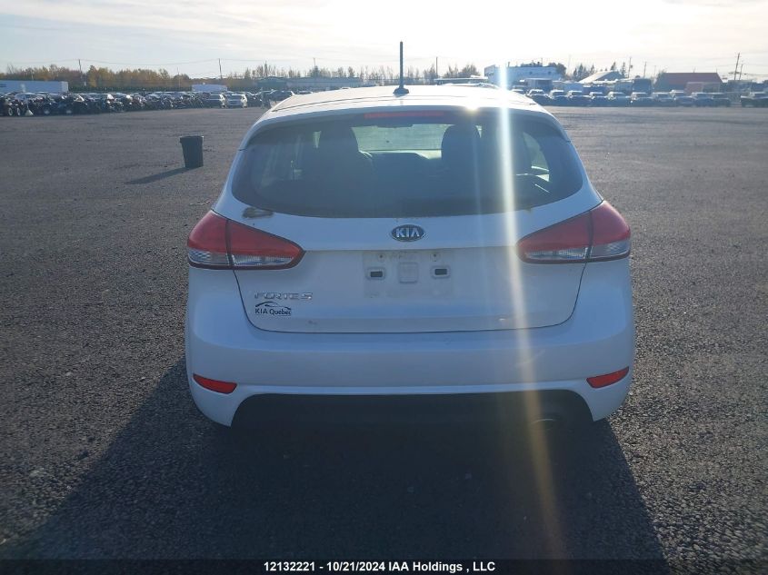 2015 Kia Forte 5-Door VIN: KNAFK5A81F5294295 Lot: 12132221