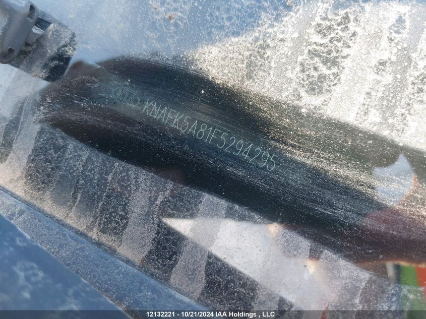 2015 Kia Forte 5-Door VIN: KNAFK5A81F5294295 Lot: 12132221