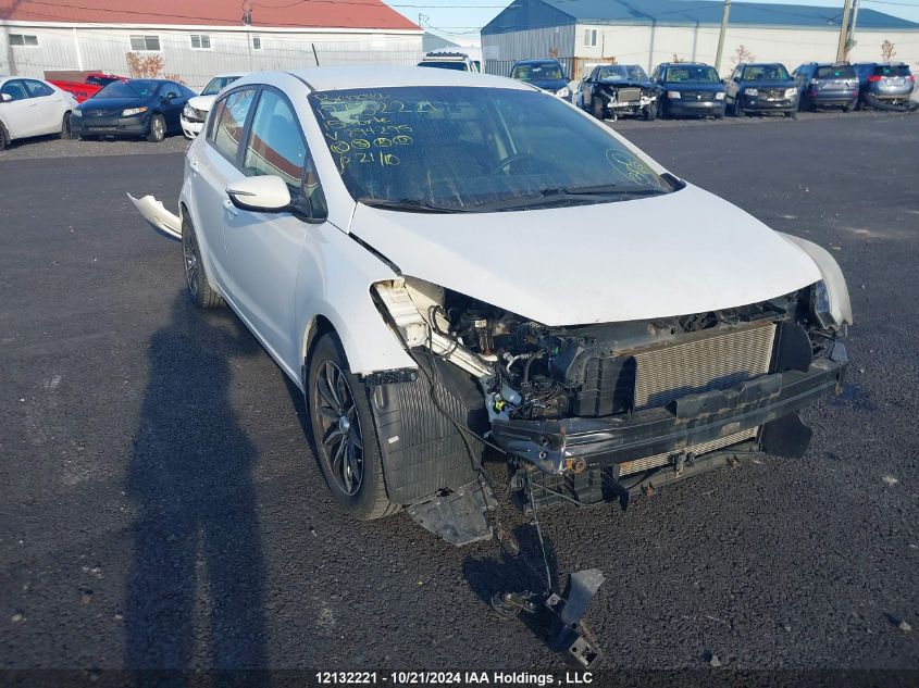 2015 Kia Forte 5-Door VIN: KNAFK5A81F5294295 Lot: 12132221