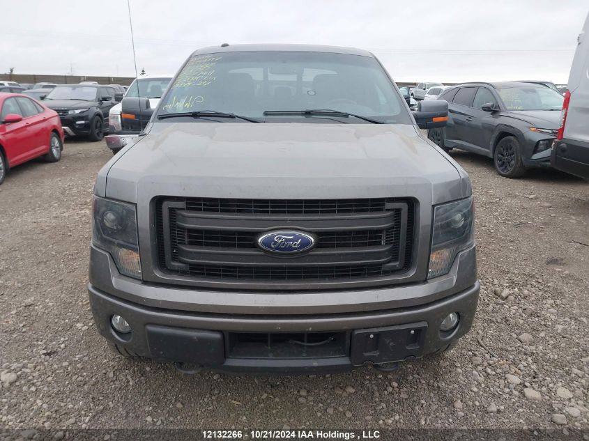 2014 Ford F150 Supercrew VIN: 1FTFW1ET2EKG27411 Lot: 12132266