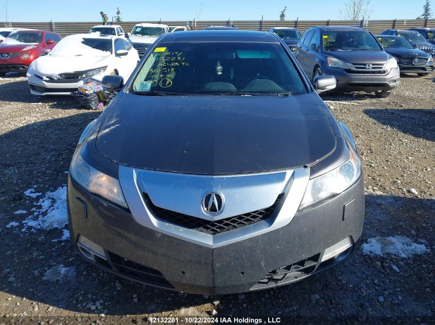 2010 Acura Tl VIN: 19UUA9F56AA801518 Lot: 12132281