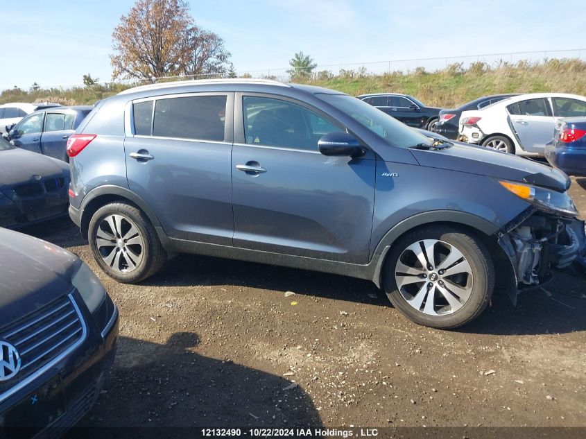 2013 Kia Sportage VIN: KNDPCCA27D7509913 Lot: 12132490