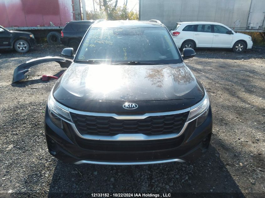 2021 Kia Seltos VIN: KNDEPCAA3M7050253 Lot: 12133152