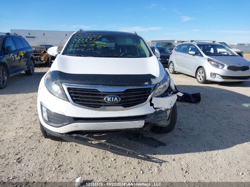 2013 Kia Sportage VIN: KNDPCCA24D7393831 Lot: 12133313