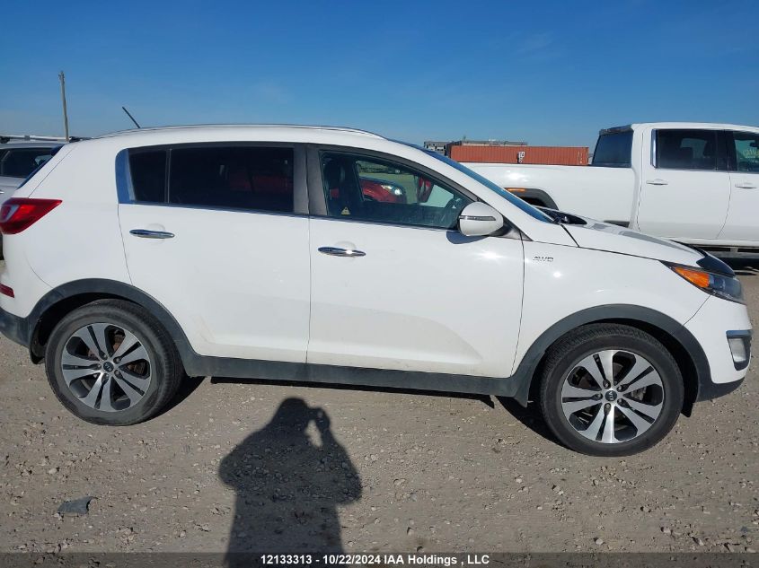 2013 Kia Sportage VIN: KNDPCCA24D7393831 Lot: 12133313