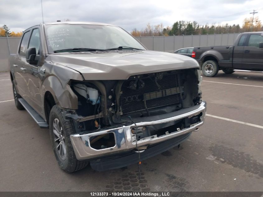 2016 Ford F-150 Xlt VIN: 1FTEW1EF4GFC20322 Lot: 12133373