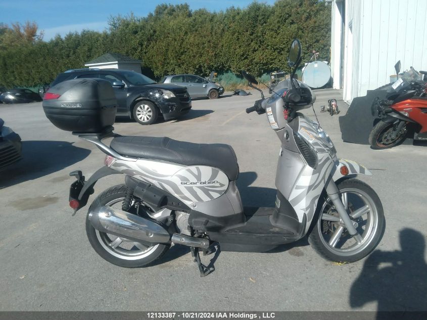 2009 Aprilia Scarabeo 200 VIN: ZD4RBC0029J000774 Lot: 12133387