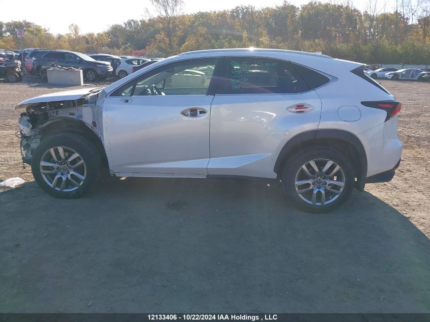 2020 Lexus Nx 300 VIN: JTJGARDZ9L5016470 Lot: 12133406