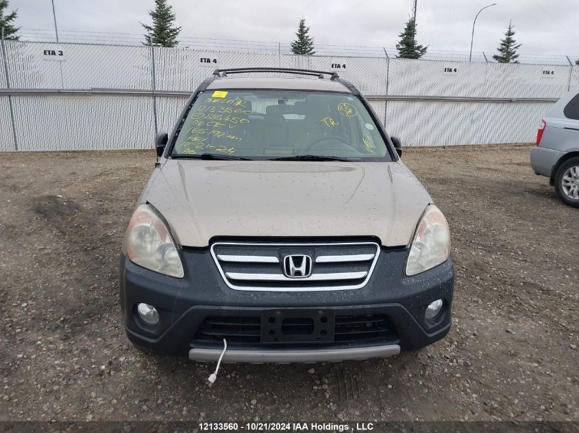 2006 Honda Cr-V VIN: JHLRD78526C816450 Lot: 12133560