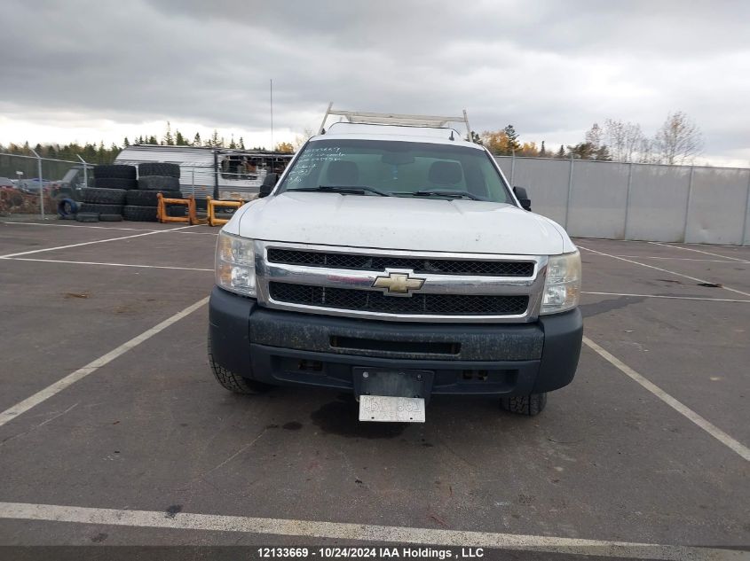 2011 Chevrolet Silverado 1500 VIN: 1GCNCPEA7BZ295975 Lot: 12133669