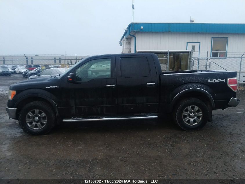 2009 Ford F150 Supercrew VIN: 1FTPW14V09FA16394 Lot: 12133732