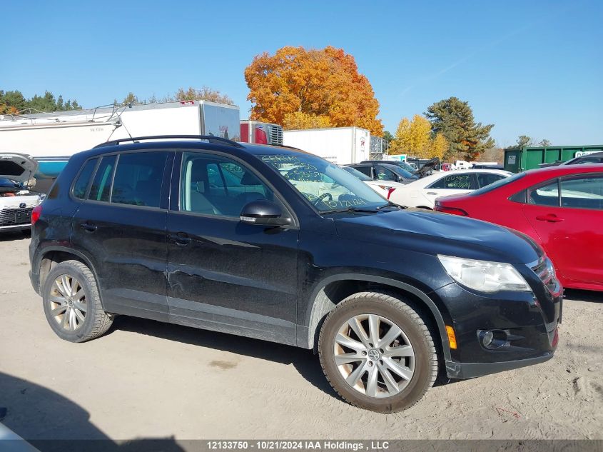 2011 Volkswagen Tiguan VIN: WVGBV7AX7BW531576 Lot: 12133750