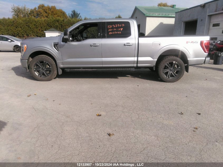 2023 Ford F-150 Xlt VIN: 1FTFW1E80PFA97494 Lot: 12133907