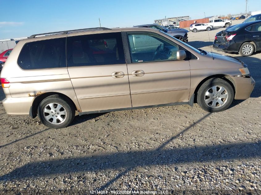 2002 Honda Odyssey VIN: 2HKRL18652H005066 Lot: 12134083