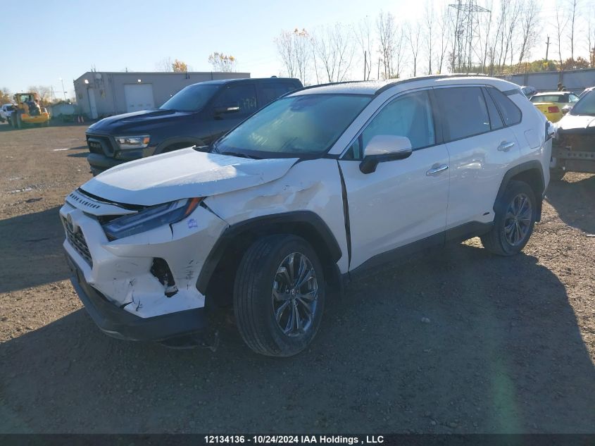 2022 Toyota Rav4 VIN: 2T3DWRFV6NW146977 Lot: 12134136