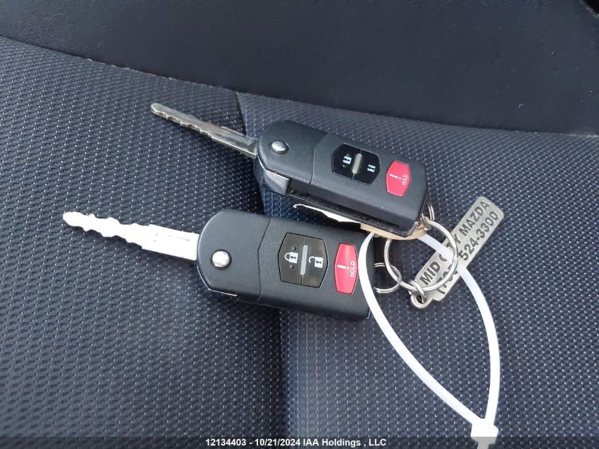 2010 Mazda Mazda3 Sport VIN: JM1BL1H51A1137174 Lot: 12134403