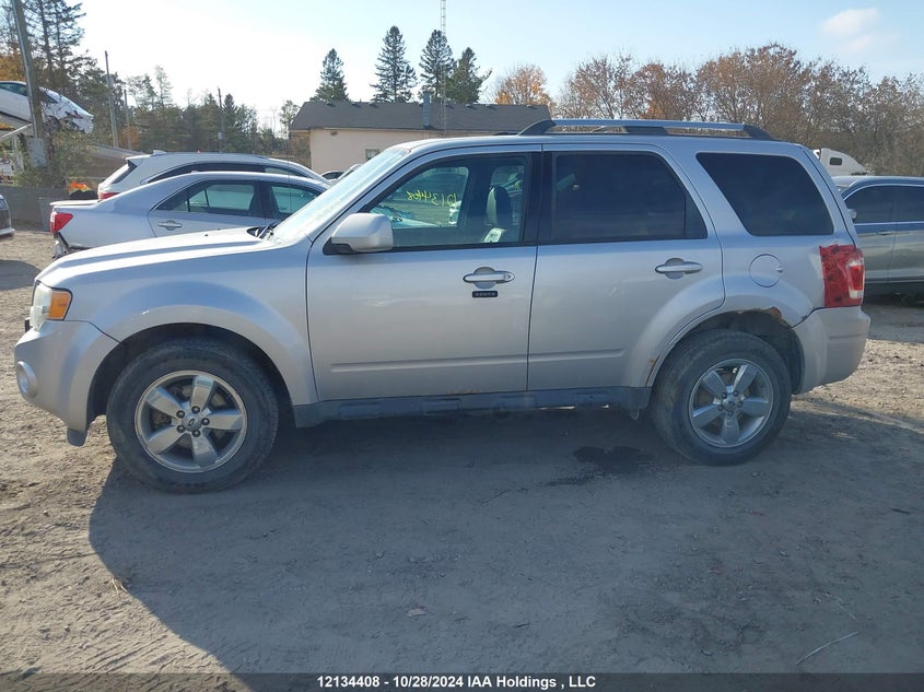 2011 Ford Escape VIN: 1FMCU9EG9BKC00440 Lot: 12134408