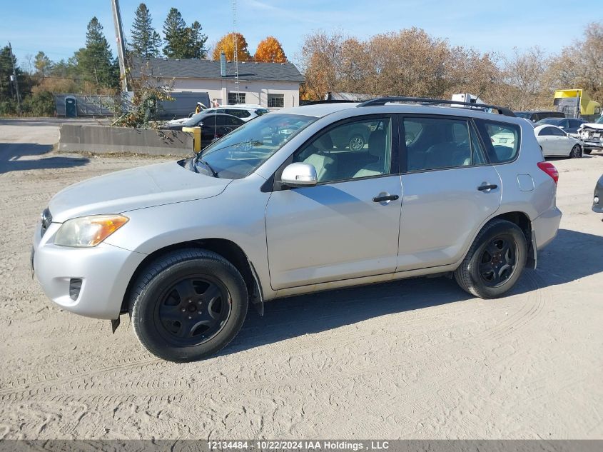 2009 Toyota Rav4 VIN: JTMBF33V59D004079 Lot: 12134484