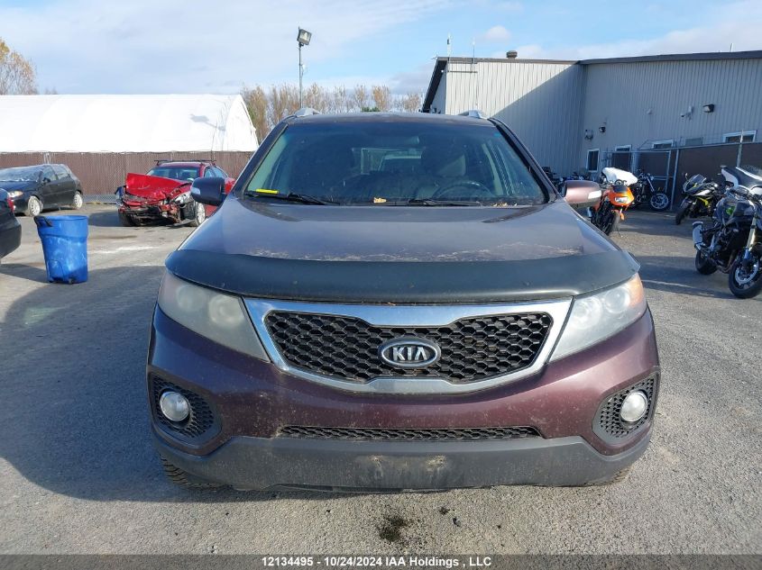 2013 Kia Sorento VIN: 5XYKTCA61DG318407 Lot: 12134495