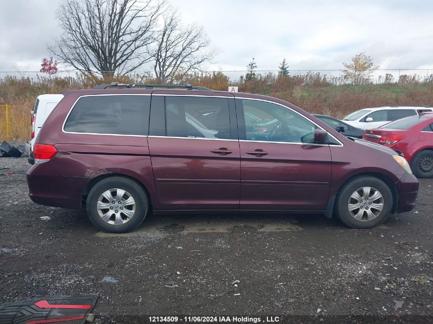 2008 Honda Odyssey VIN: 5FNRL38418B507574 Lot: 12134509