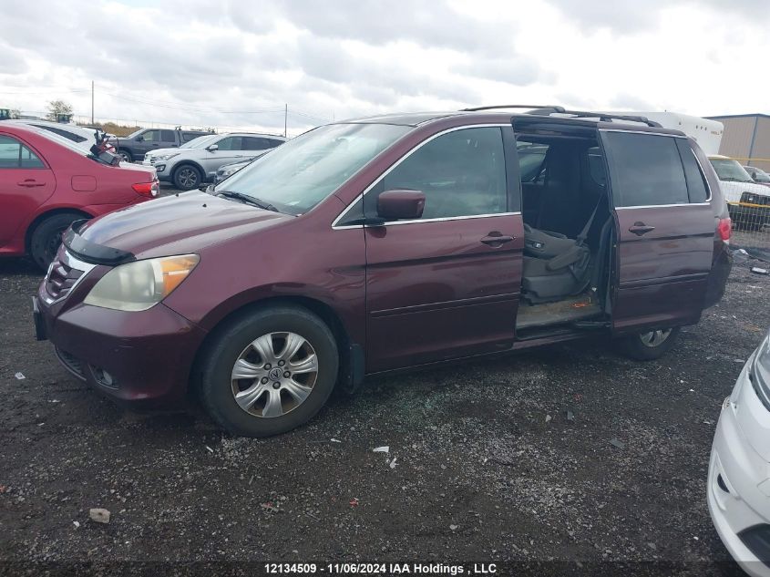 2008 Honda Odyssey VIN: 5FNRL38418B507574 Lot: 12134509