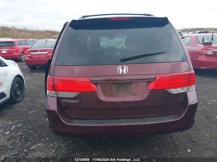 2008 Honda Odyssey VIN: 5FNRL38418B507574 Lot: 12134509