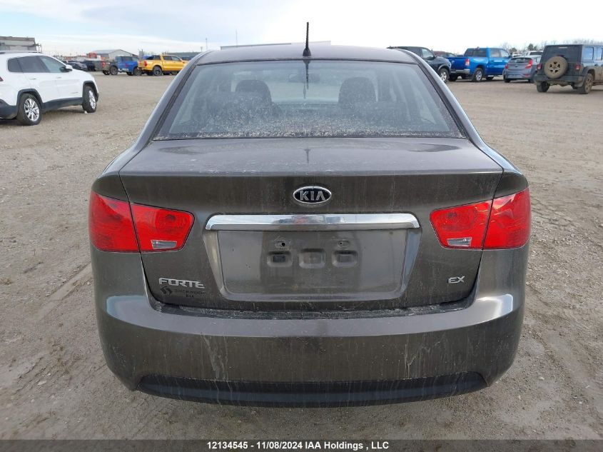 2010 Kia Forte VIN: KNAFU4A20A5198084 Lot: 12134545