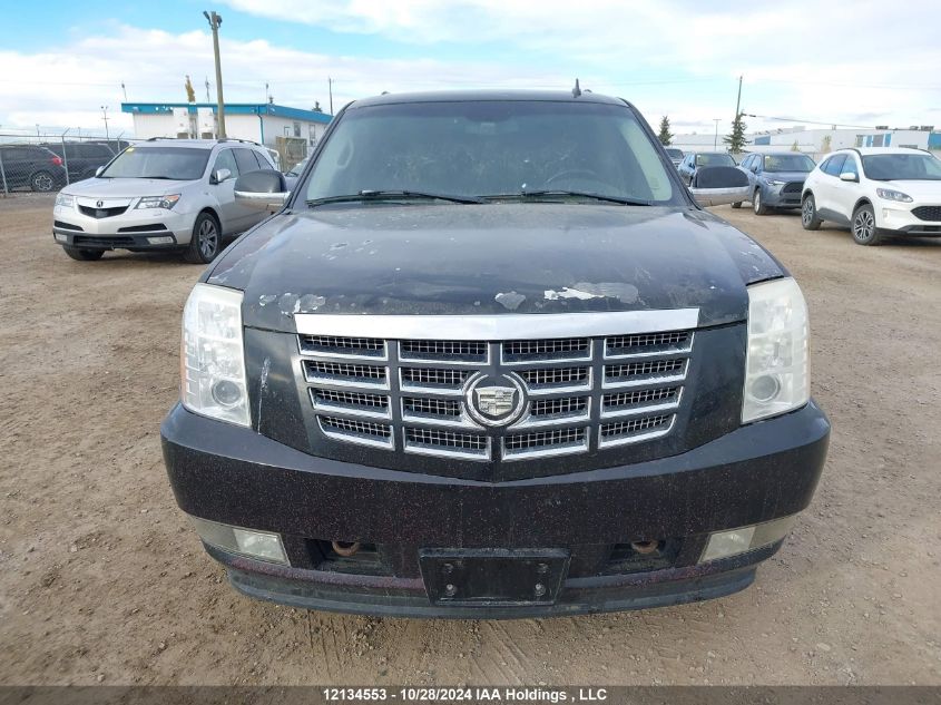 2007 Cadillac Escalade VIN: 1GYFK63867R409645 Lot: 12134553