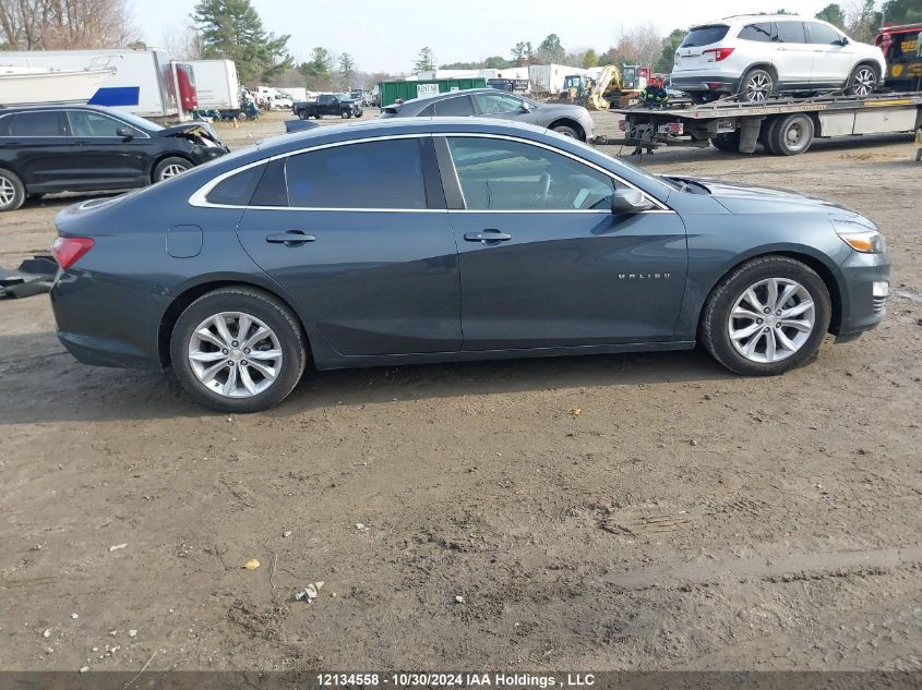 2019 Chevrolet Malibu VIN: 1G1ZD5ST5KF186949 Lot: 12134558