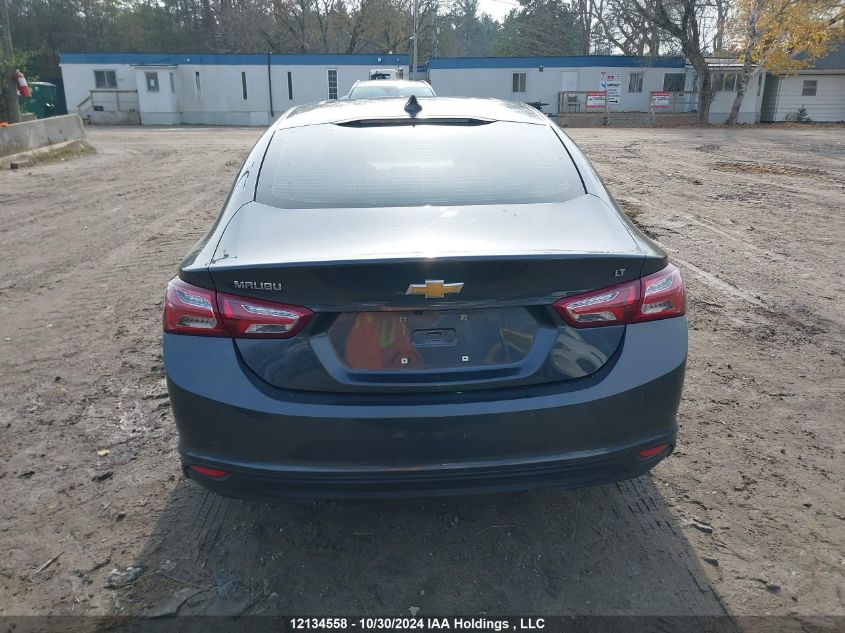 2019 Chevrolet Malibu VIN: 1G1ZD5ST5KF186949 Lot: 12134558