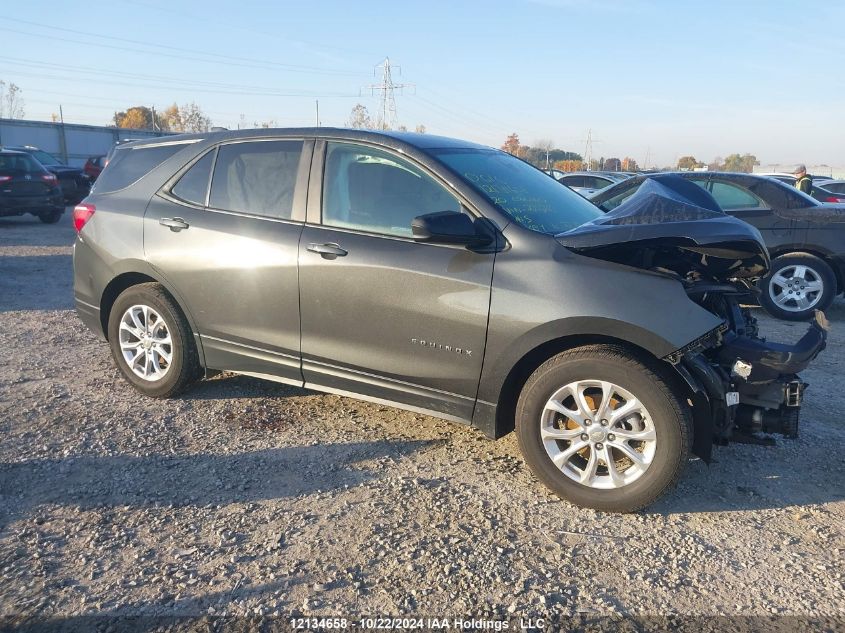 2020 Chevrolet Equinox VIN: 2GNAXSEV6L6226269 Lot: 12134658