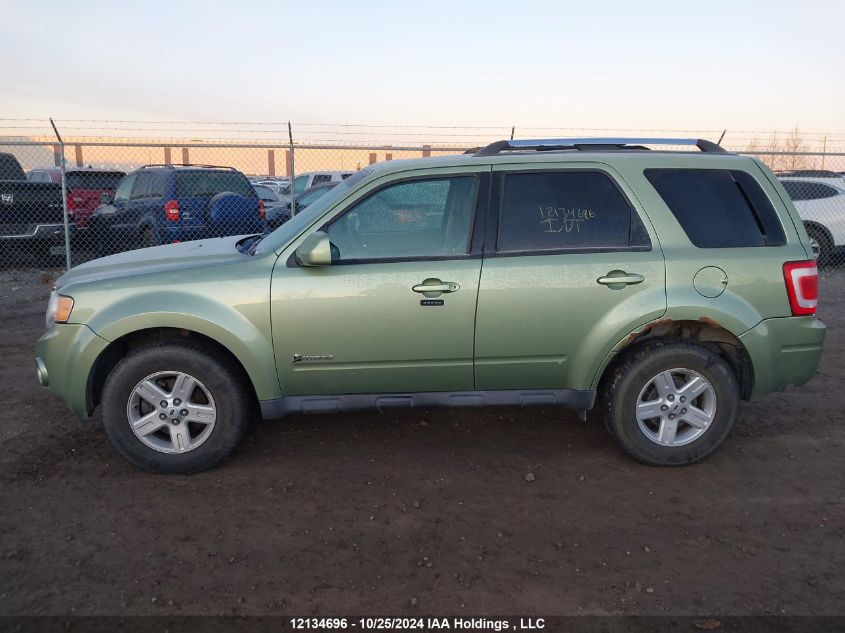 2009 Ford Escape Hybrid VIN: 1FMCU59379KC55771 Lot: 12134696