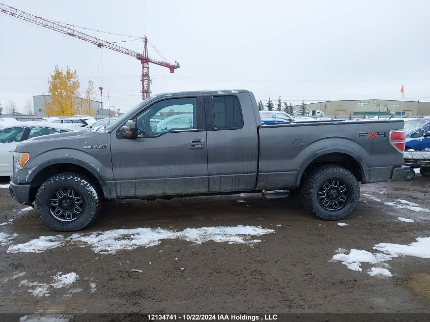 2010 Ford F150 Super Cab VIN: 1FTFX1EVXAFB72535 Lot: 12134741