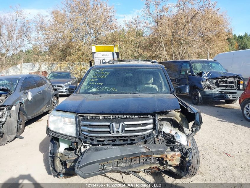 2015 Honda Pilot VIN: 5FNYF4H37FB502408 Lot: 12134786