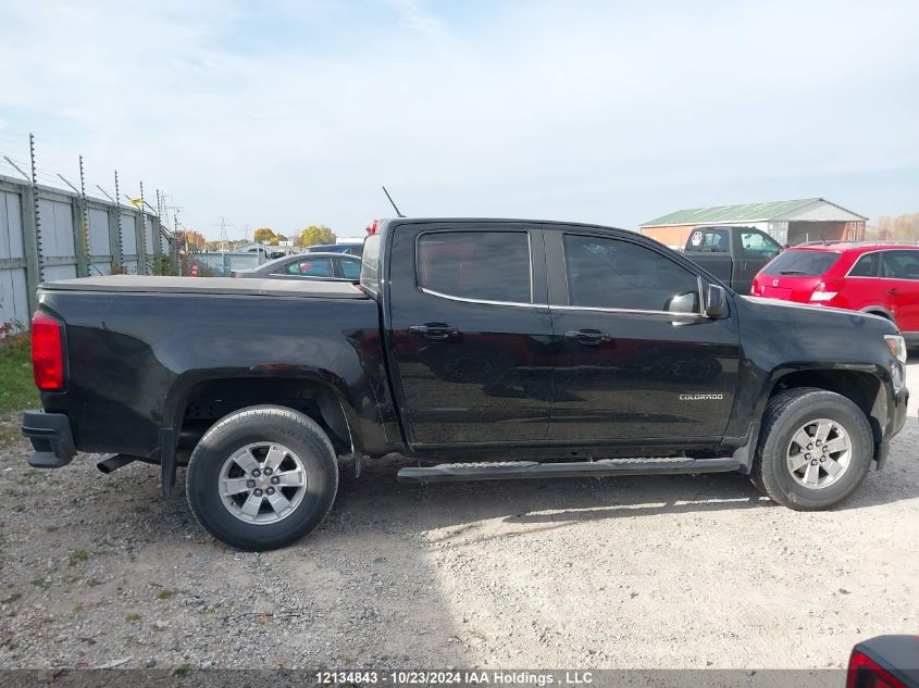 2019 Chevrolet Colorado VIN: 1GCGSBEN5K1233877 Lot: 12134843